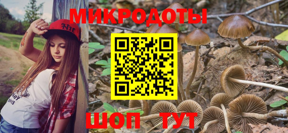 Галлюциногенные грибы ЛСД Большой Камень