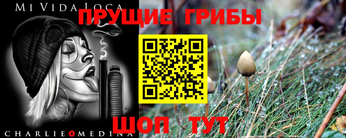 Большой Камень  дарнет шоп  Вход с VPN  Галлюциногенные грибы Psilocybine cubensis 